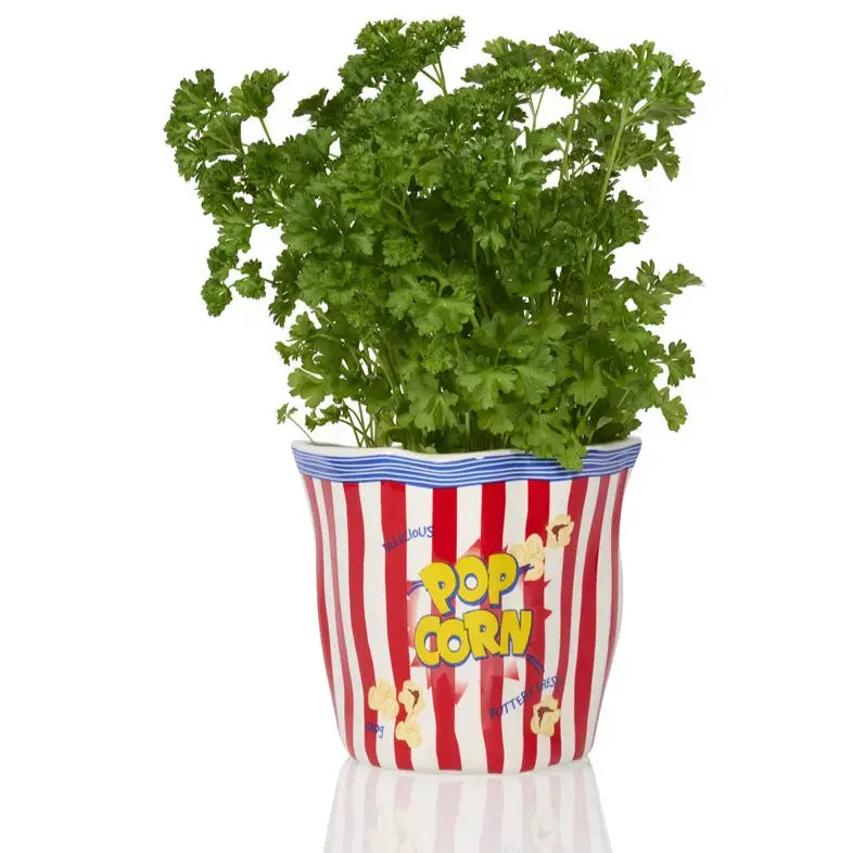 Pot de persil vert dans seau à popcorn rayé rouge et blanc, ambiance cinéma humoristique