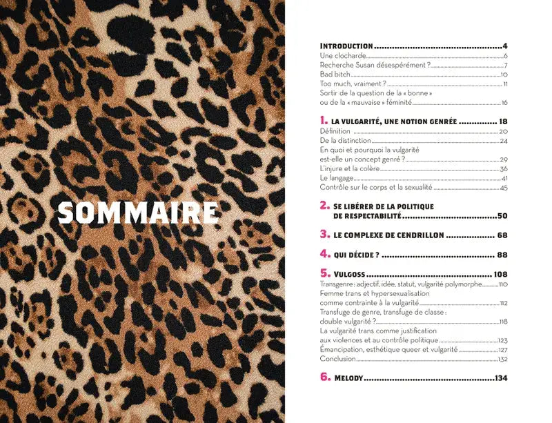 Table des matières du livre Vulgaire Qui Décide sur liberté individuelle